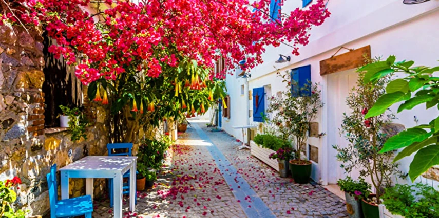 izmir-turu